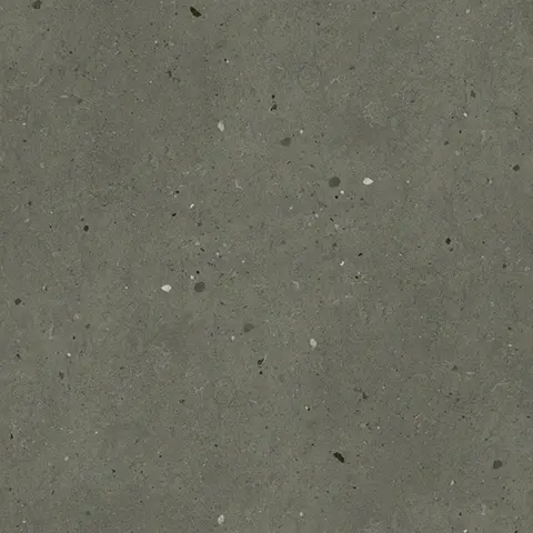 ソリッドアッシュ