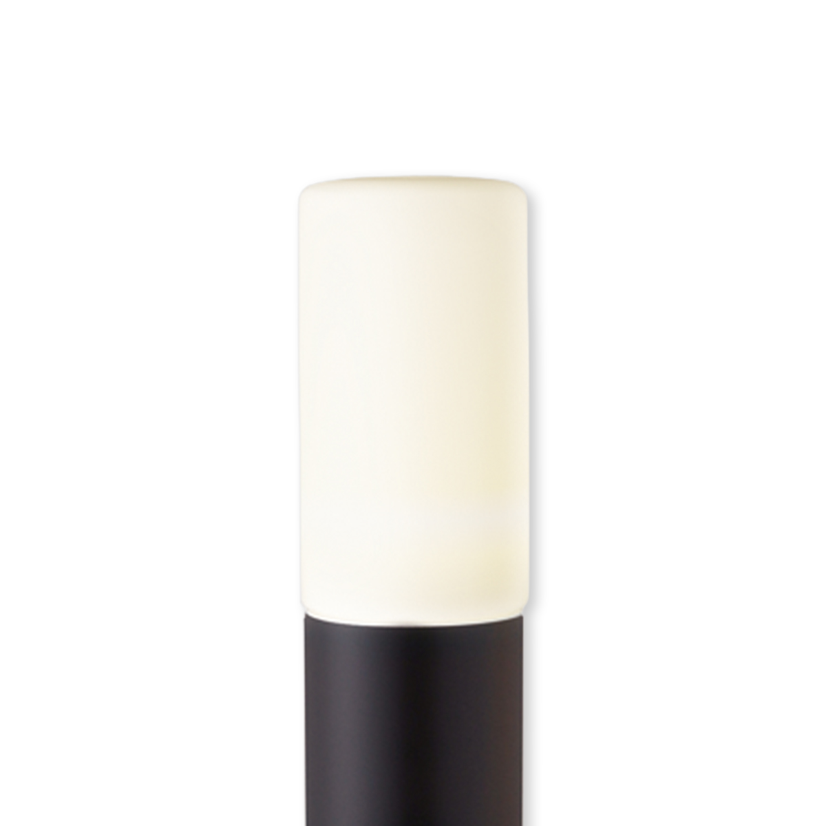 ガラスグローブD(パッキン付)